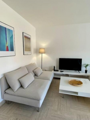 Splendide T3 haut standing avec parking privé